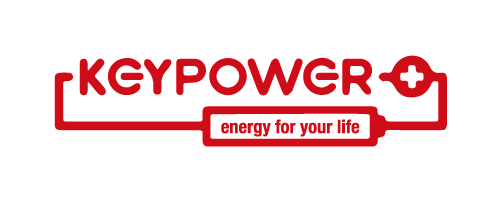 TPP602535 3.7V 500 mAh (3 cables)     Conector: JST-XHP-2